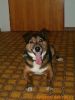 thumb_Ciko_Doma00008.jpg