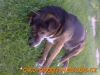 thumb_Ciko_Odpocinek00009.jpg