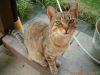 thumb_Jackie_Pohledyi00002.jpg