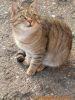 thumb_Jackie_Pohledyi00005.jpg