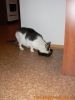 thumb_Peggy_Navsteva00001.jpg