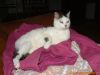 thumb_Peggy_Navsteva00007.jpg