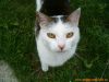 thumb_Peggy_Pohledy00002.jpg