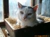 thumb_Peggy_Pohledy00009.jpg